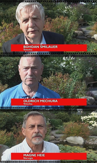 Hallo a interlingua