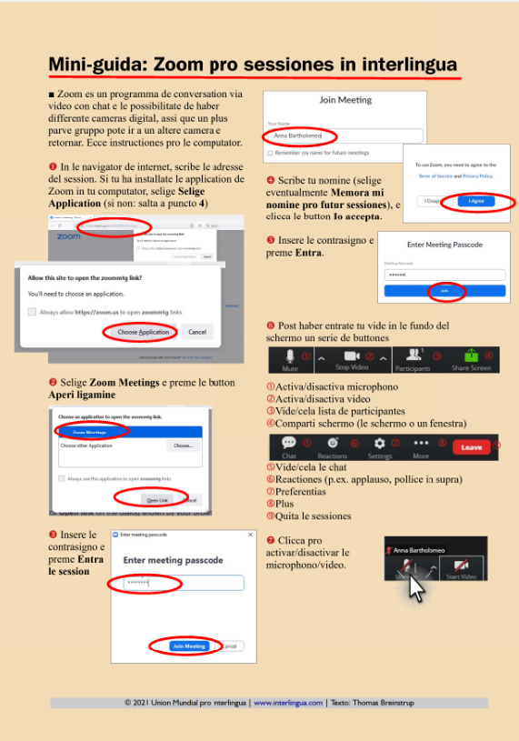 Mini-guida: Zoom pro sessiones in interlingua