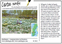 Cartas nordic - Fagerås