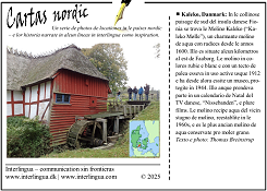 Cartas nordic - Kaleko