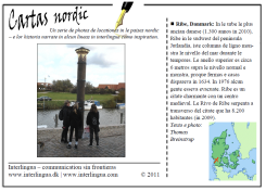 Cartas nordic - Ribe