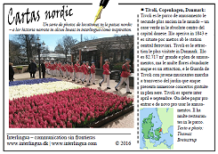 Cartas nordic - Tivoli