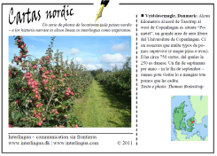 Cartas nordic - Vridsløsemagle