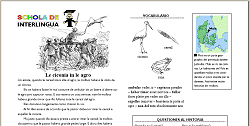 Le ciconia in le agro